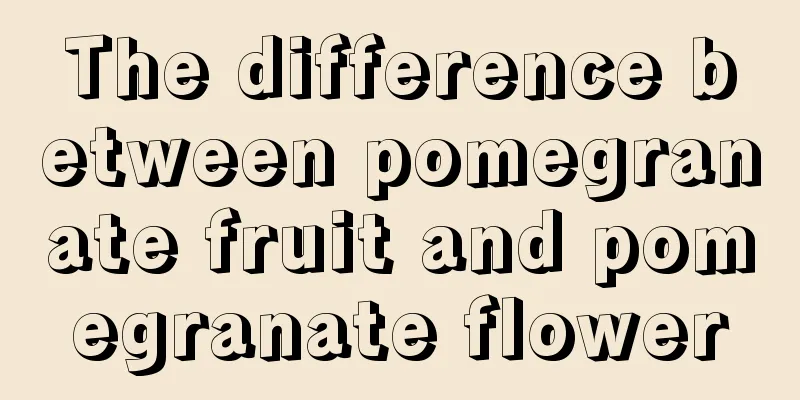 The difference between pomegranate fruit and pomegranate flower