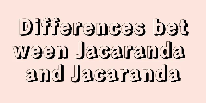 Differences between Jacaranda and Jacaranda