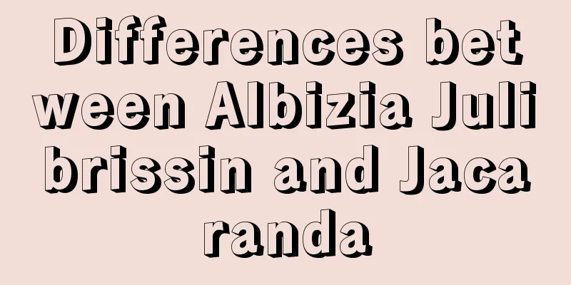 Differences between Albizia Julibrissin and Jacaranda