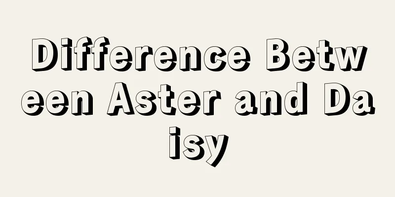 Difference Between Aster and Daisy