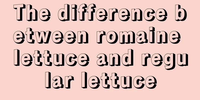 The difference between romaine lettuce and regular lettuce