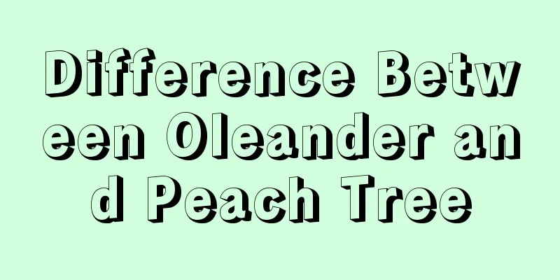 Difference Between Oleander and Peach Tree