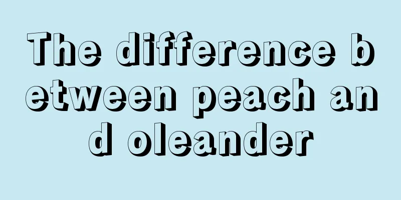 The difference between peach and oleander