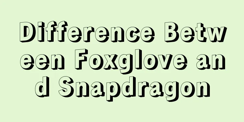 Difference Between Foxglove and Snapdragon