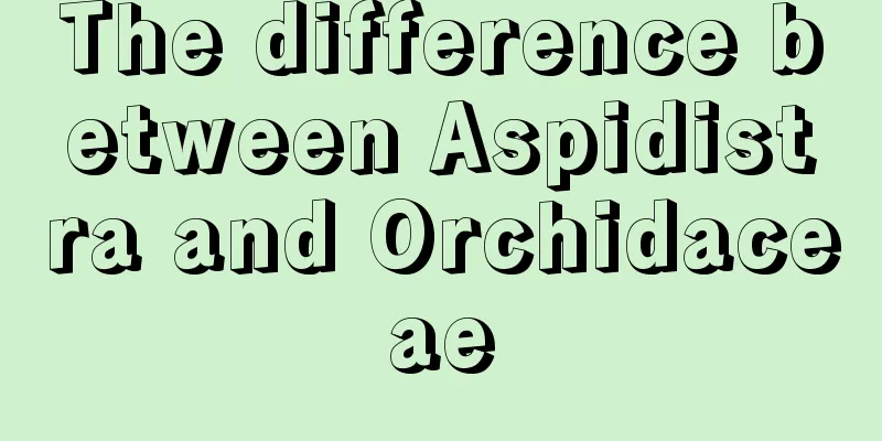 The difference between Aspidistra and Orchidaceae