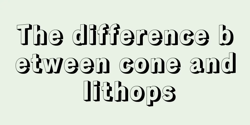 The difference between cone and lithops