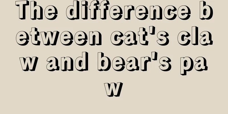 The difference between cat's claw and bear's paw