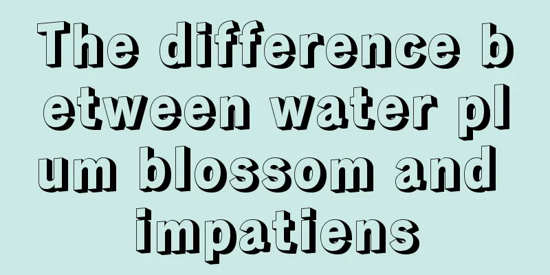 The difference between water plum blossom and impatiens