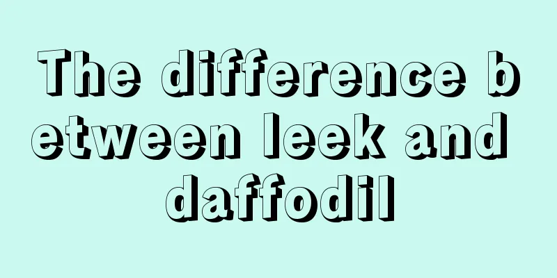 The difference between leek and daffodil