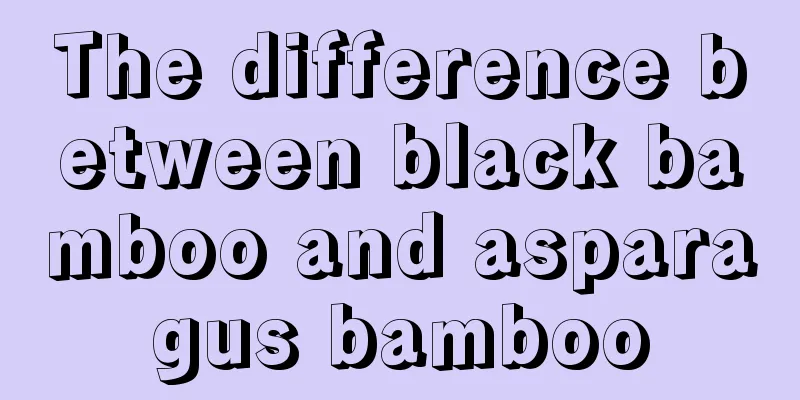 The difference between black bamboo and asparagus bamboo