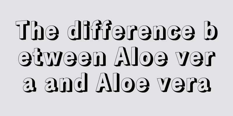 The difference between Aloe vera and Aloe vera