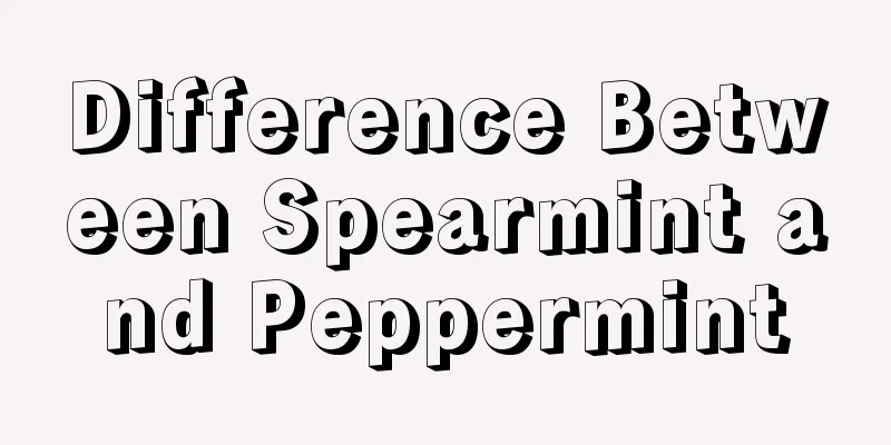 Difference Between Spearmint and Peppermint