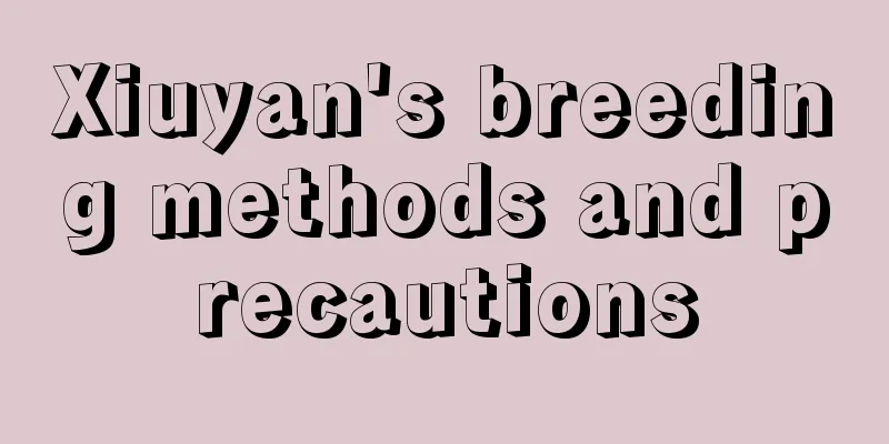 Xiuyan's breeding methods and precautions