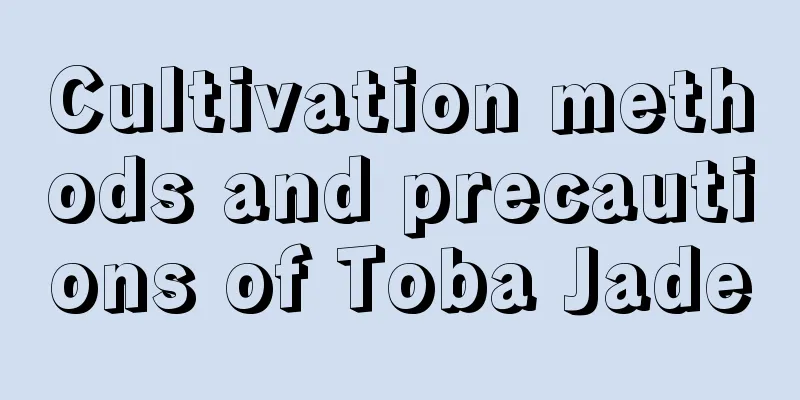 Cultivation methods and precautions of Toba Jade