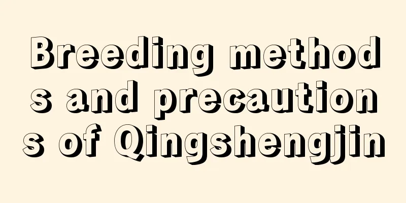 Breeding methods and precautions of Qingshengjin