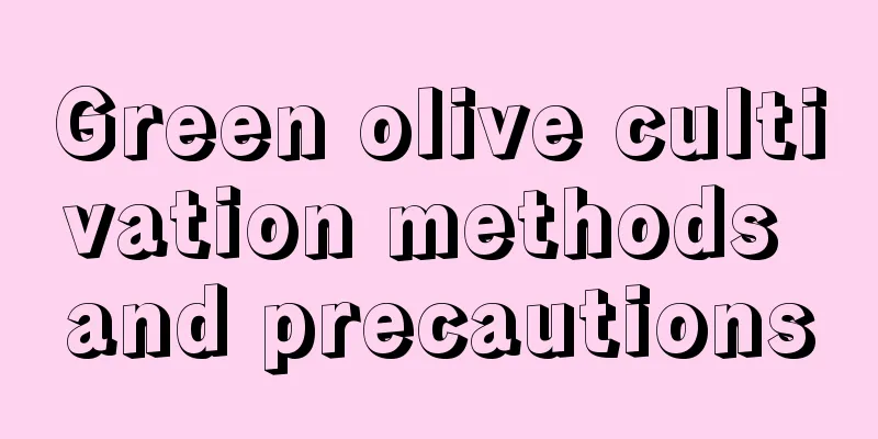 Green olive cultivation methods and precautions