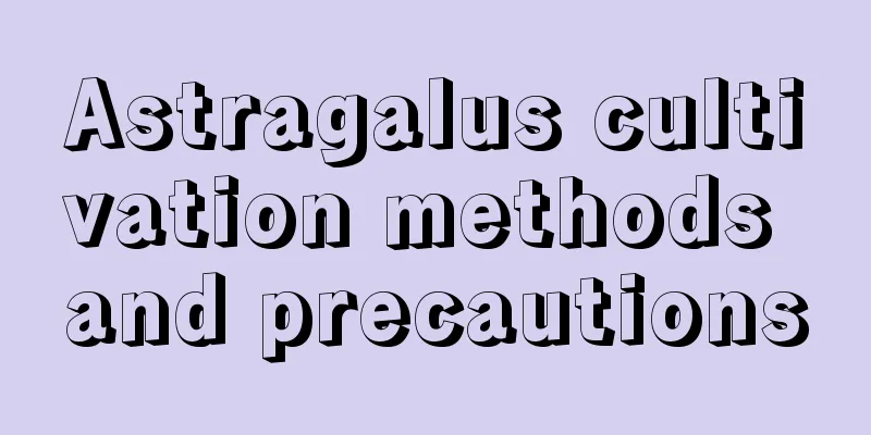 Astragalus cultivation methods and precautions