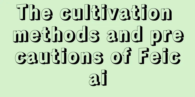 The cultivation methods and precautions of Feicai