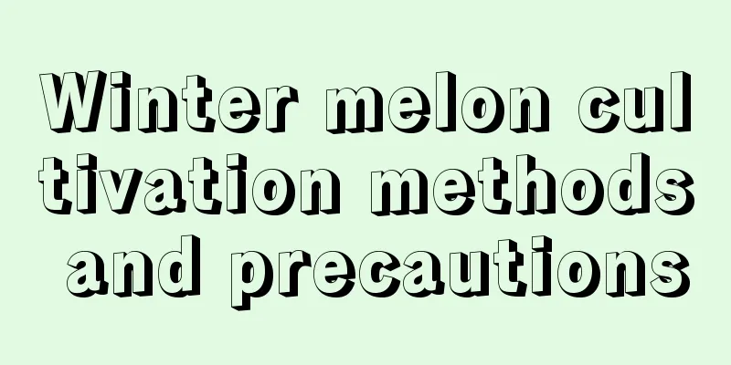 Winter melon cultivation methods and precautions