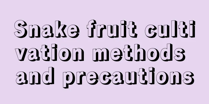 Snake fruit cultivation methods and precautions