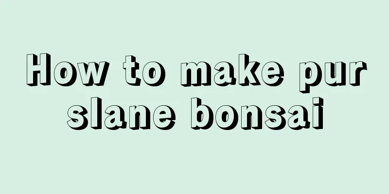 How to make purslane bonsai