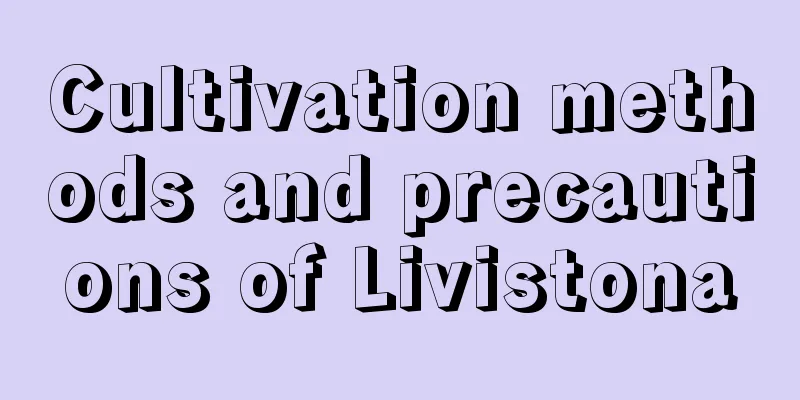 Cultivation methods and precautions of Livistona