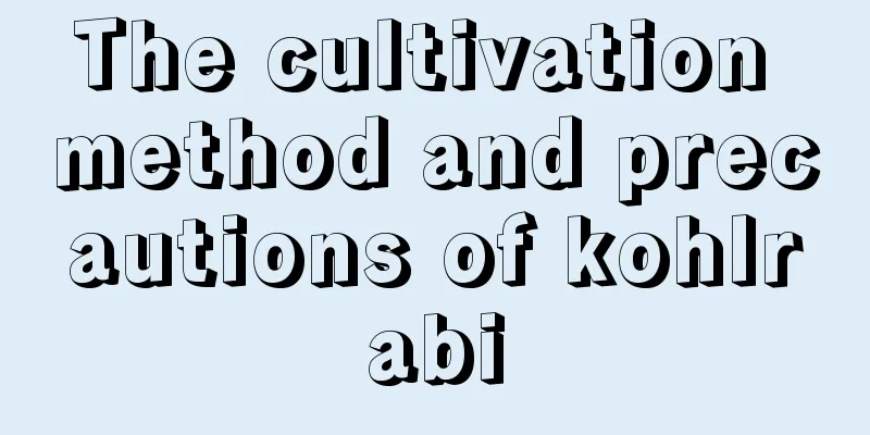 The cultivation method and precautions of kohlrabi