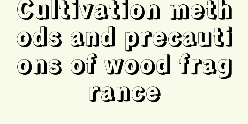 Cultivation methods and precautions of wood fragrance