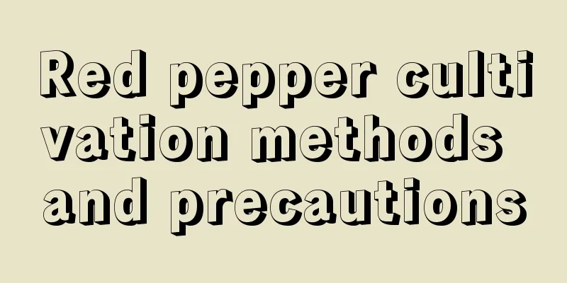 Red pepper cultivation methods and precautions