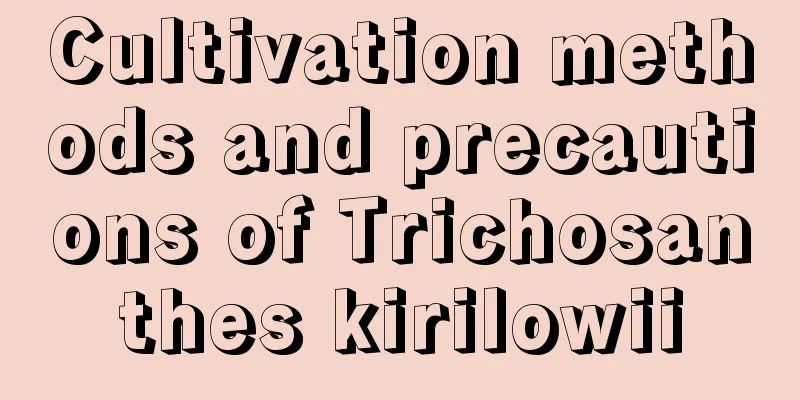 Cultivation methods and precautions of Trichosanthes kirilowii