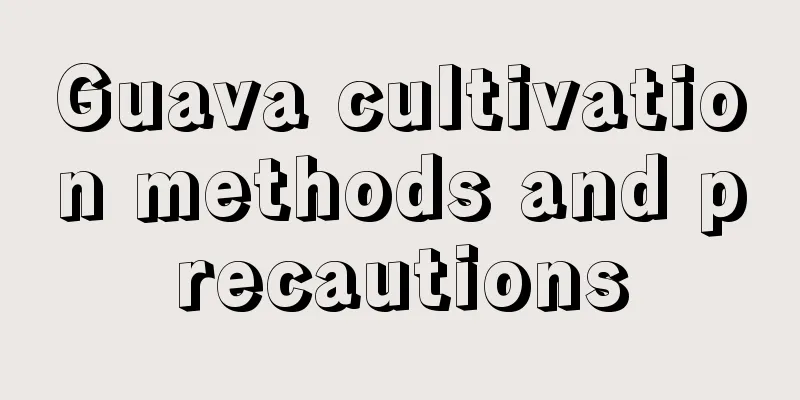 Guava cultivation methods and precautions