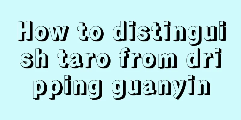 How to distinguish taro from dripping guanyin