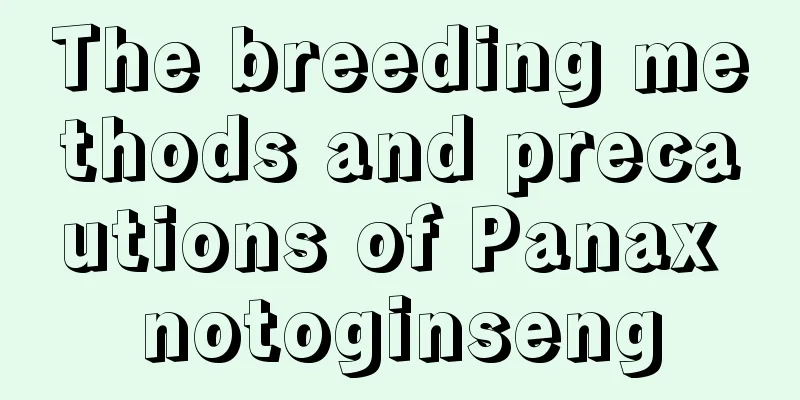 The breeding methods and precautions of Panax notoginseng