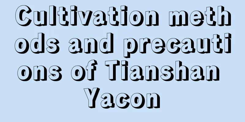 Cultivation methods and precautions of Tianshan Yacon