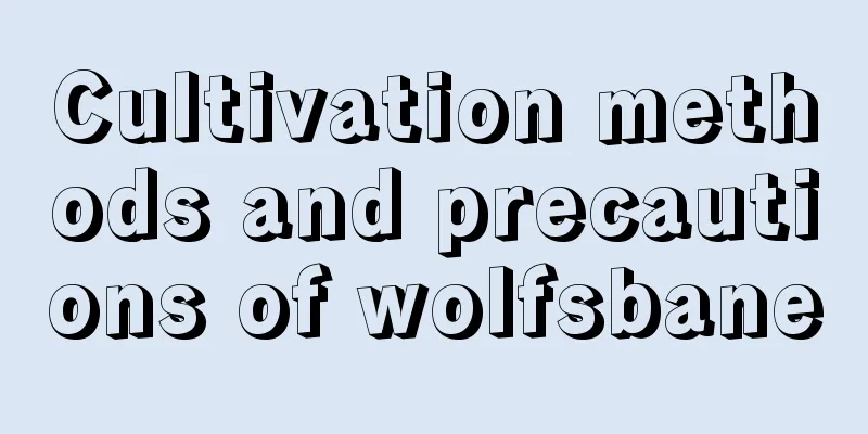 Cultivation methods and precautions of wolfsbane