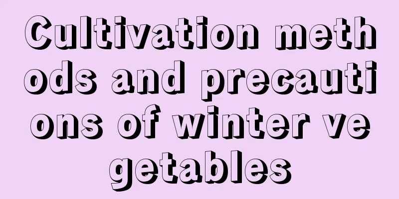 Cultivation methods and precautions of winter vegetables