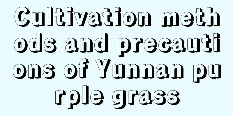 Cultivation methods and precautions of Yunnan purple grass