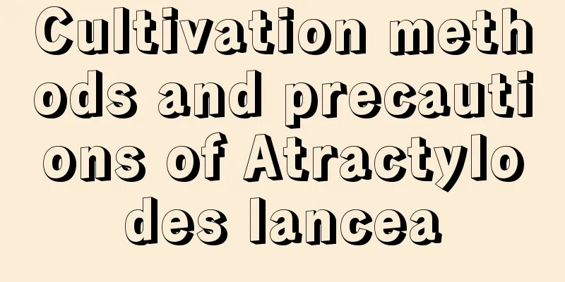 Cultivation methods and precautions of Atractylodes lancea