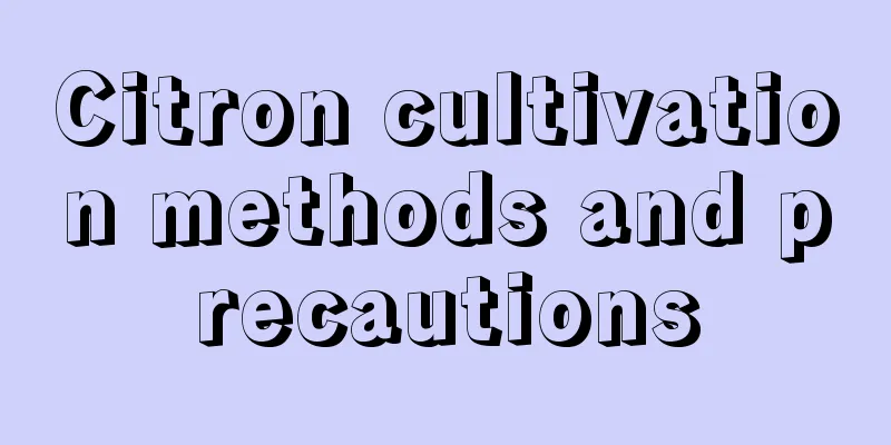 Citron cultivation methods and precautions