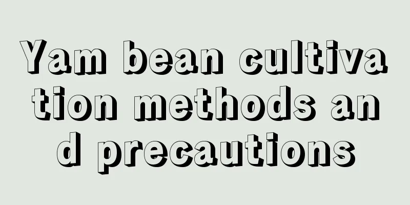 Yam bean cultivation methods and precautions