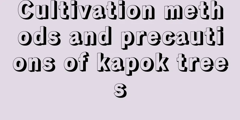 Cultivation methods and precautions of kapok trees