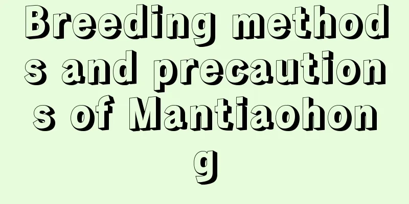 Breeding methods and precautions of Mantiaohong