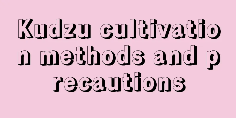 Kudzu cultivation methods and precautions