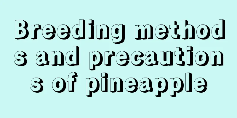 Breeding methods and precautions of pineapple