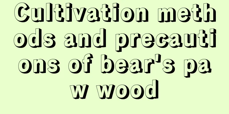 Cultivation methods and precautions of bear's paw wood