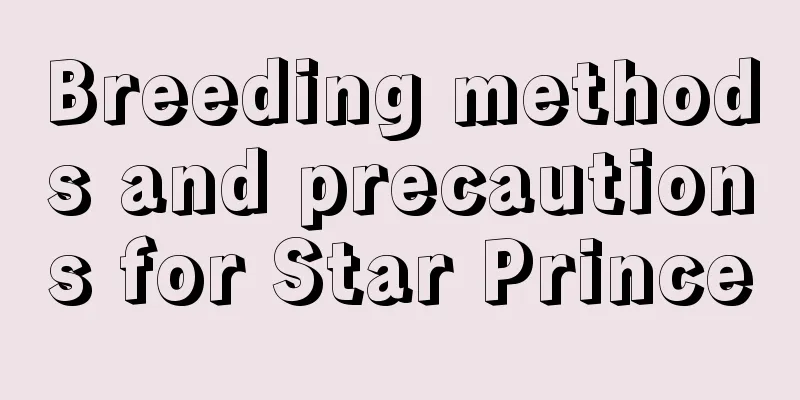 Breeding methods and precautions for Star Prince