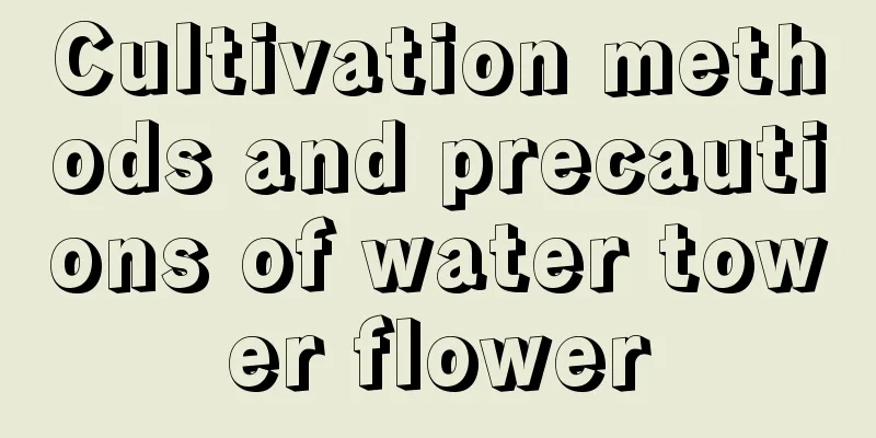 Cultivation methods and precautions of water tower flower