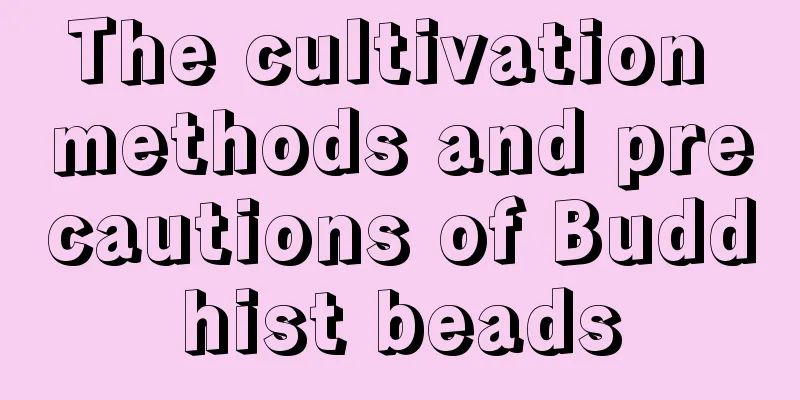 The cultivation methods and precautions of Buddhist beads