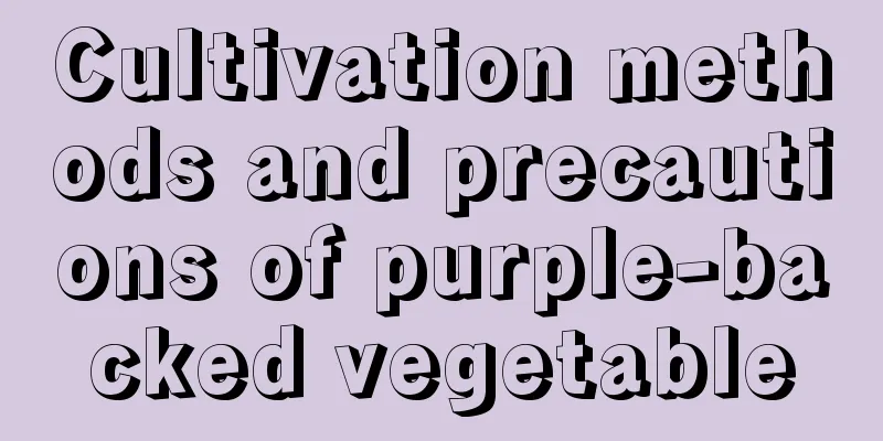 Cultivation methods and precautions of purple-backed vegetable