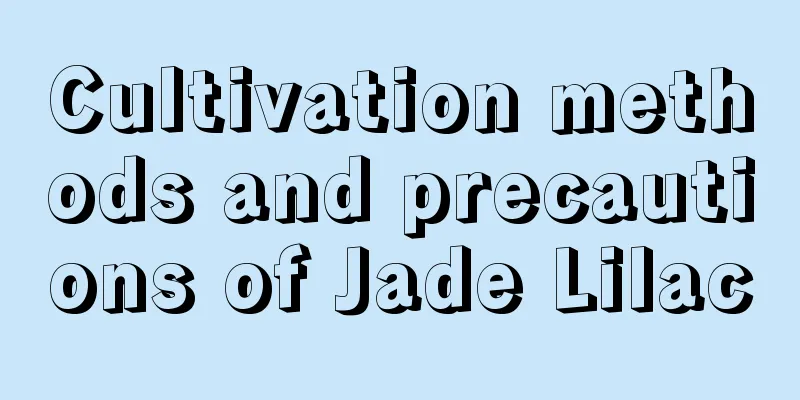 Cultivation methods and precautions of Jade Lilac